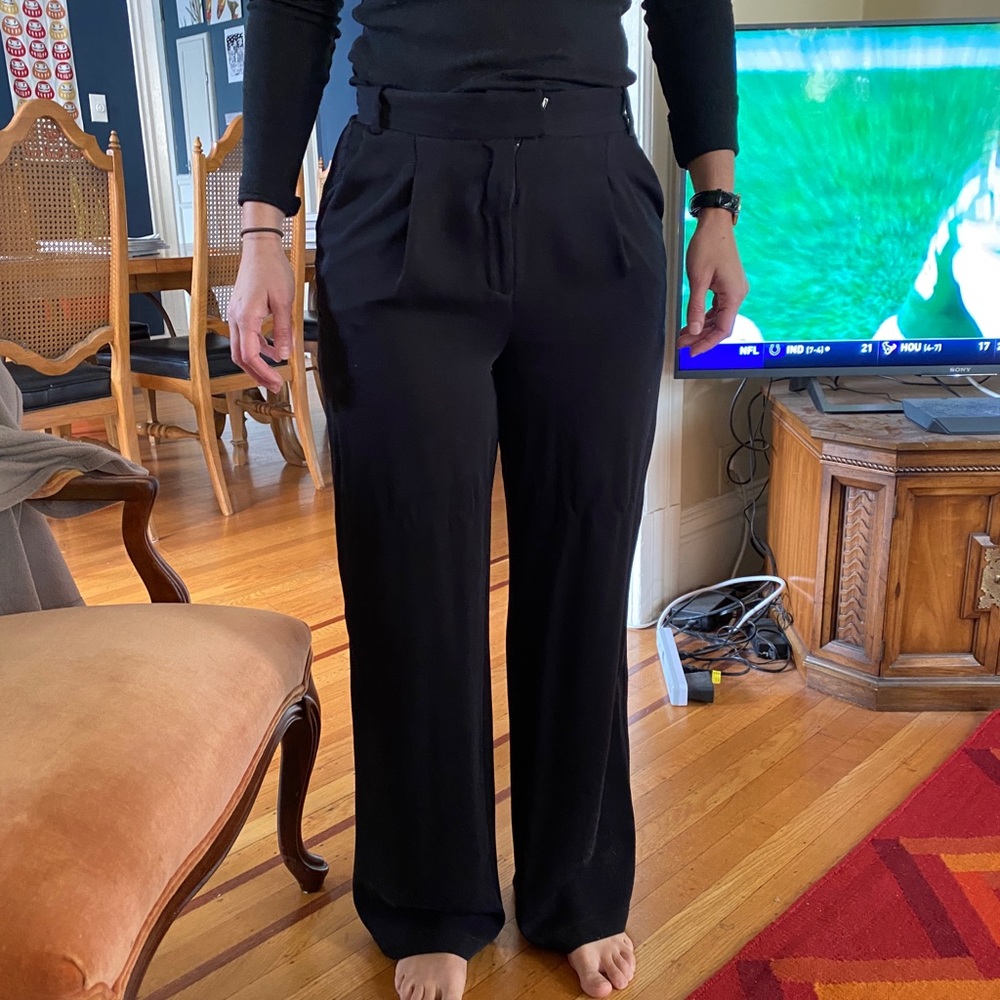 Aritzia babaton pants